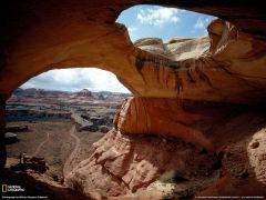 Tapeta National Geographic 463.jpg